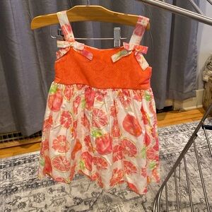 Blueberi Boulevard Girls Dress Size 5t